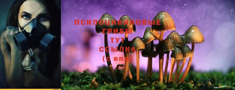 ОМГ ОМГ tor  Бабушкин  Псилоцибиновые грибы Psilocybe  как найти  